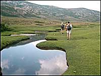 Lac-nino
