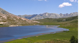 GR20 train in Corsica